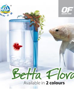 OCEAN FREE Betta Flora Tank