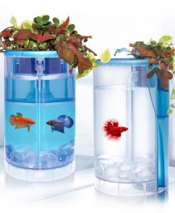 Alternative view of OCEAN FREE Betta Flora Tank
