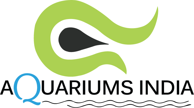 (c) Aquariumsindia.com
