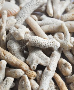 AQUATIC VENTUREZ Pro Active Coral Media