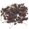 BORNEO WILD Alder Cones | 25pcs