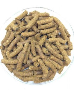 Alternative view of BORNEO WILD Pumpkin | 10g | Repacked