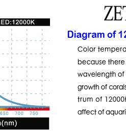 ZET LIGHT ZT-6800 - 12