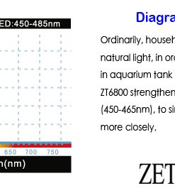 ZET LIGHT ZT-6800 - 14