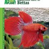 Animal Planet Aquarium Care of Bettas