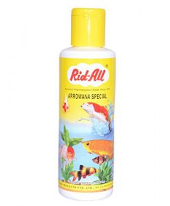 Rid All Arowana Special