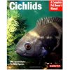 A Complete Pet Owner's Manual - Cichlids