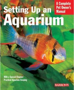 A Complete Pet Owner's Manual - Setting Up an Aquarium
