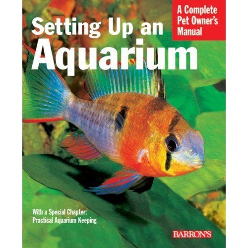 A Complete Pet Owner's Manual - Setting Up an Aquarium