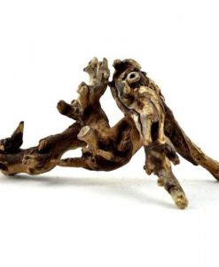 Amazonia NANO Wood | Set of 3pcs