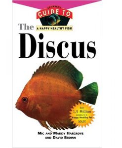 An Owners Guide to a Happy Healthy Fish - The Discus