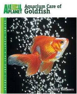 Animal Planet - Aquarium Care of Goldfish