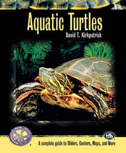 Aquatic Turtles - A Complete Guide
