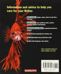 Bettas - Back
