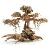 Bonsai TREE Wood