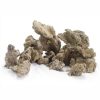 Dry REEF Rocks | 5kg Pack