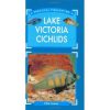Practical Fishkeeping - Lake Victoria Cichlids