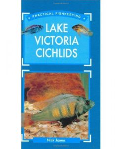 Practical Fishkeeping - Lake Victoria Cichlids