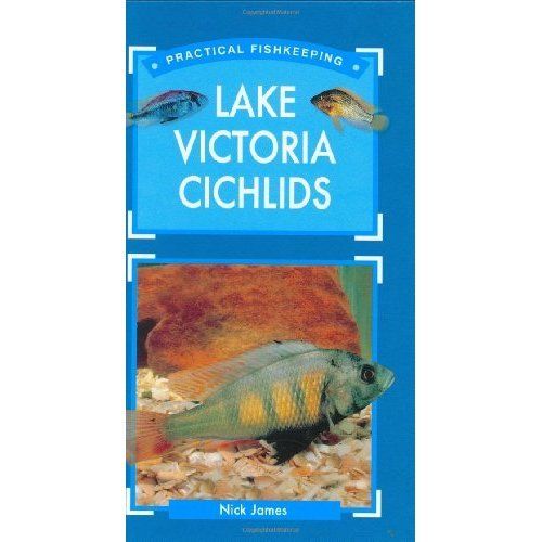 Practical Fishkeeping - Lake Victoria Cichlids