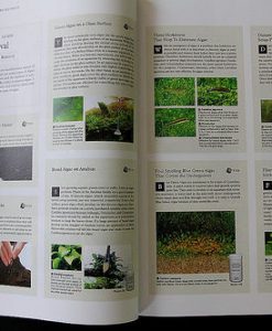 The Book of ADA 2010