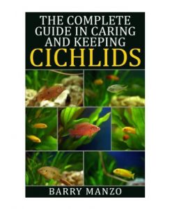 The Complete Guide in Caring and Keeping Cichlids
