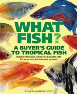 What Fish - A Buyer's Guide to Tropical Fish