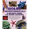 What Invertebrates - A Buyer's Guide for Marine Aquariums