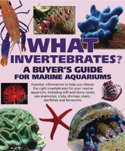 What Invertebrates - A Buyer's Guide for Marine Aquariums