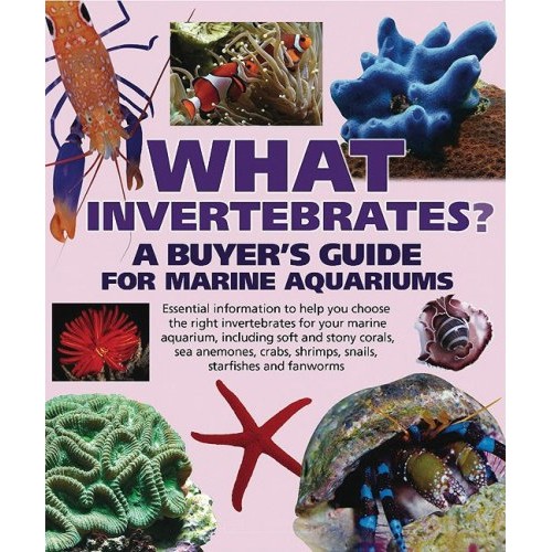 What Invertebrates - A Buyer's Guide for Marine Aquariums