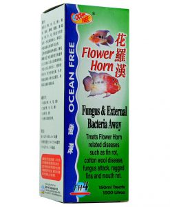 OCEAN FREE Flowerhorn Fungus & External Bacteria Away