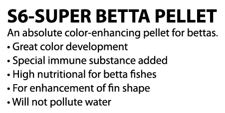 OF Super Betta Pellet