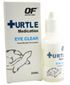 Turtle Medicine