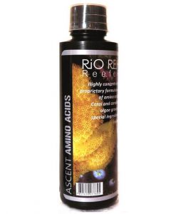 RIO REH Ascent Amino Acids