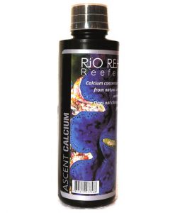 RIO REH Ascent Calcium