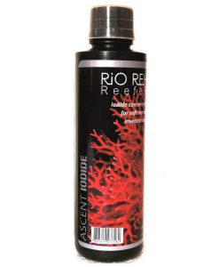 RIO REH Ascent Iodide