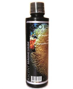 RIO REH Ascent Magnesium