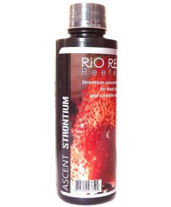 RIO REH Ascent Stontium