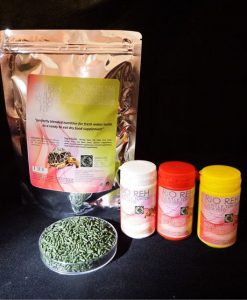 Rio Reh Turtle Sticks