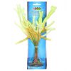 AZOO Plant - Real Seaweed