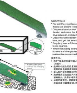 Dophin Turtle Ladder