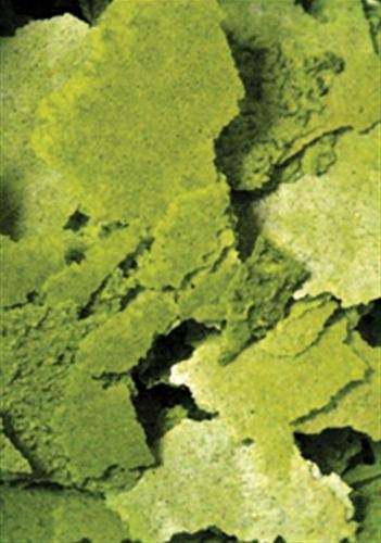 OCEAN NUTRITION Formula Two Flakes - Image 3