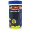 GENE ELEVEN Cichlid Nutri Pro | 100g