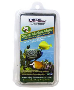 Green Marine Algae