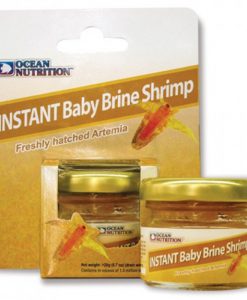 Instant Baby Brine Shrimp