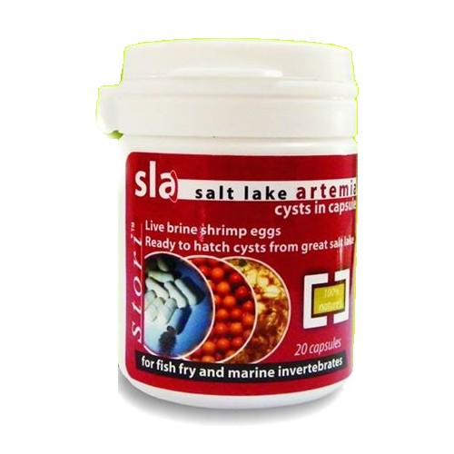 GENE ELEVEN Salt Lake Artemia | 20 Capsules