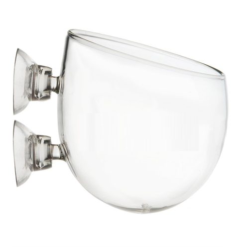 TNA Glass Pot