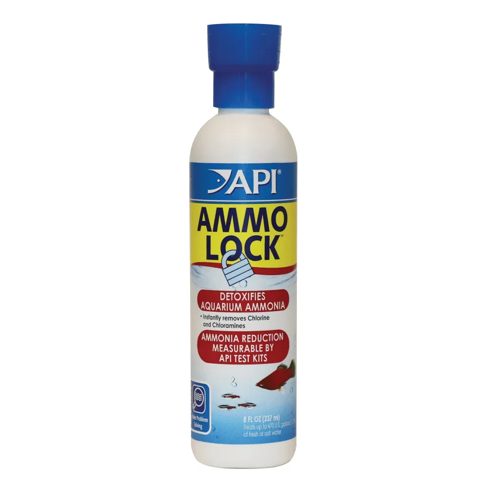 API Ammo Lock
