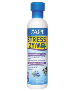 API Stress Zym | 118ml