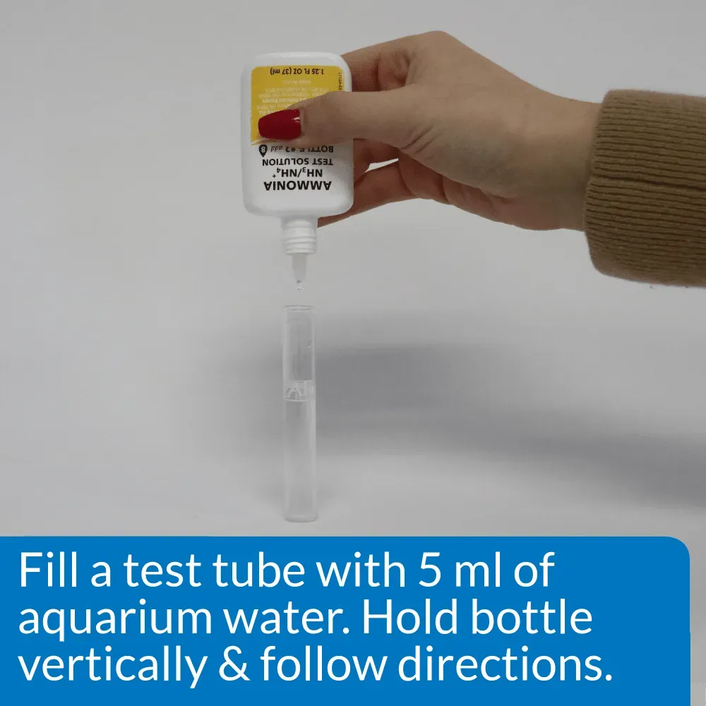 API Test Kit
