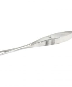 AQUATIC VENTUREZ Stainless Steel Scissor | SPRING